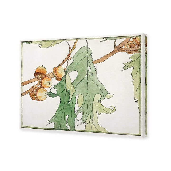 Oak and Acorns by Hannah Borger Overbeck Wall Art