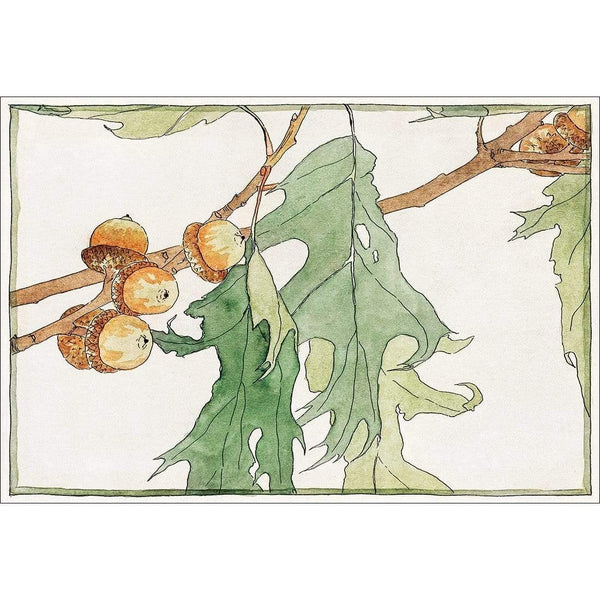 Oak and Acorns by Hannah Borger Overbeck Wall Art