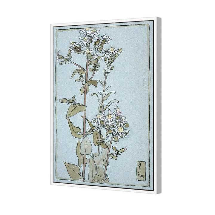 Aster on Green Ground by Hannah Borger Overbeck Wall Art