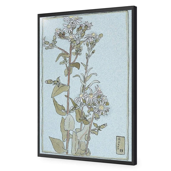 Aster on Green Ground by Hannah Borger Overbeck Wall Art