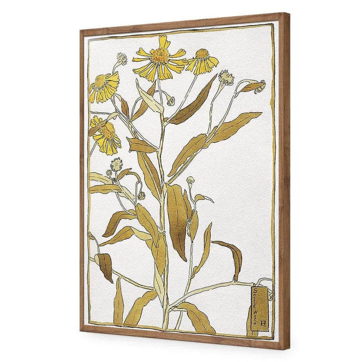 Sneeze Weed by Hannah Borger Overbeck Wall Art