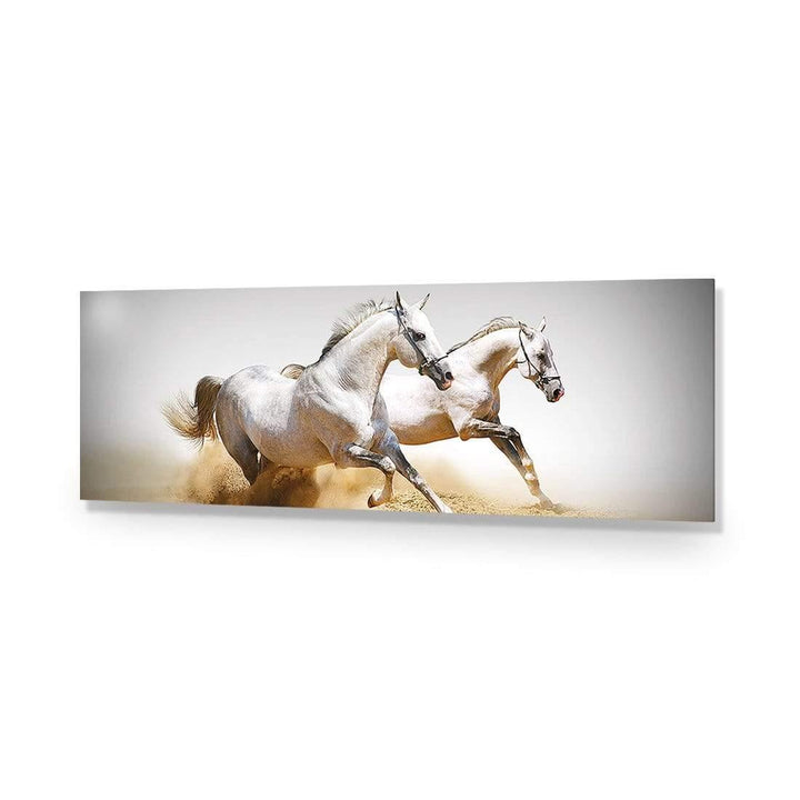 Stallions in the Dust (long) Wall Art