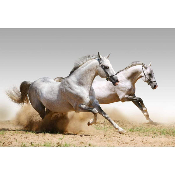 Stallions in the Dust (rectangle) Wall Art