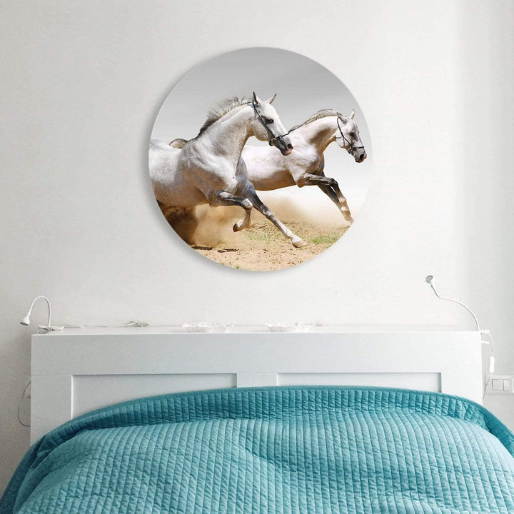 Stallions in the Dust Circle Acrylic Glass Wall Art