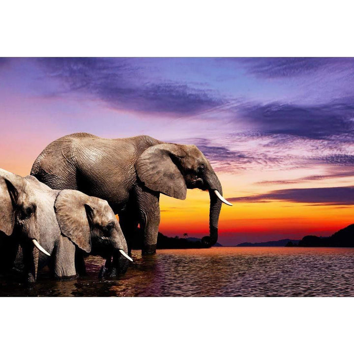 African Savannah Elephants (Rectangle) Wall Art