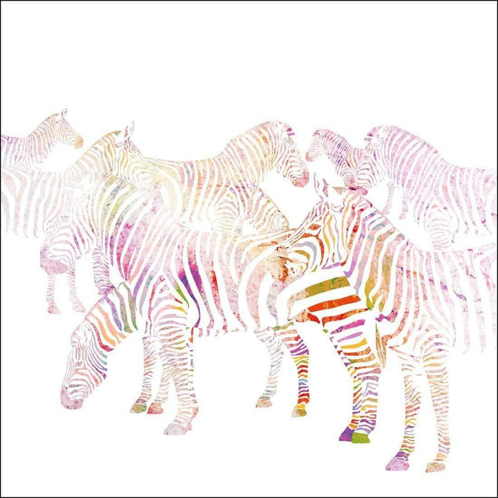 Multicoloured Zebras, Whitewashed (square) Wall Art