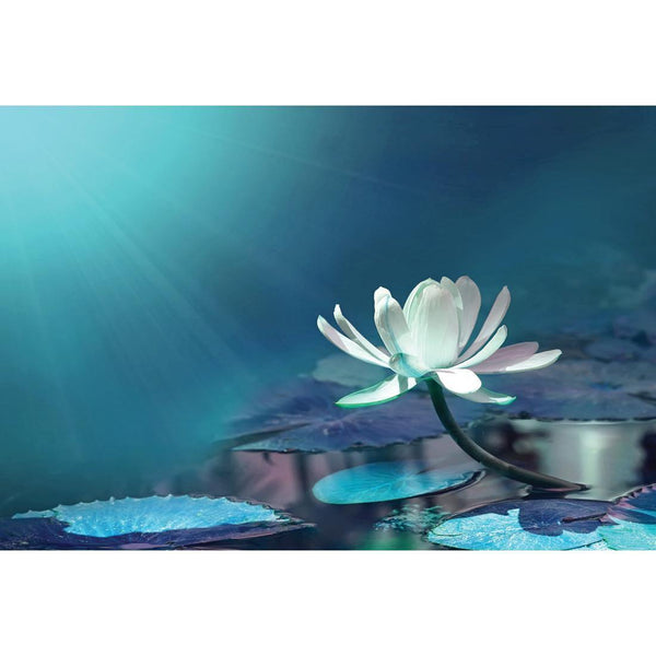 Water Lily, Blue Wall Art