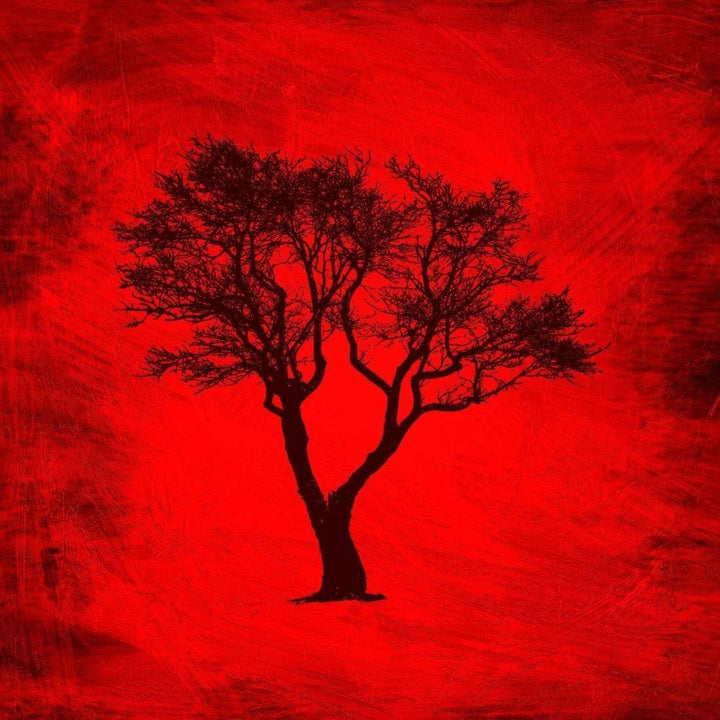 Shadow Tree Single, Red AS Wall Art