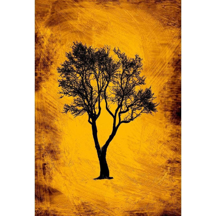 Shadow Tree Single, Gold AR Wall Art