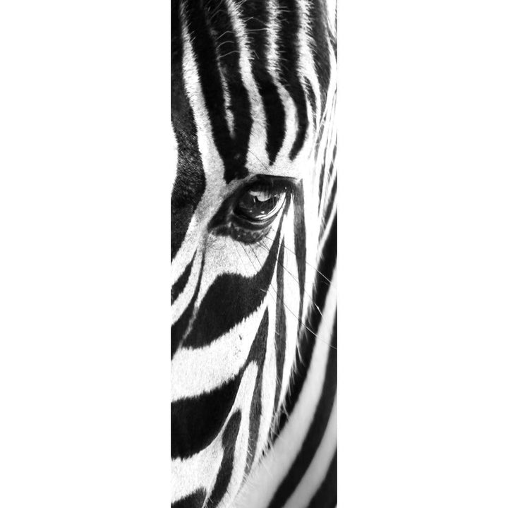 Zebra Contour, vertical Wall Art