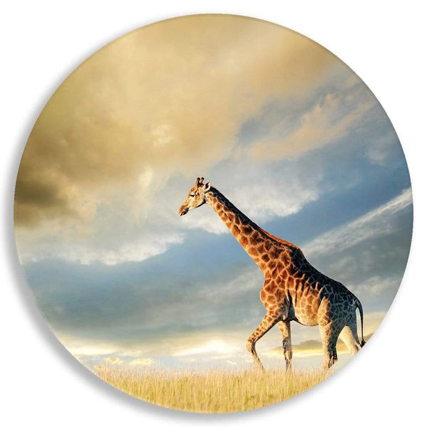 Giraffe in Stormy Clouds Circle Acrylic Glass Wall Art