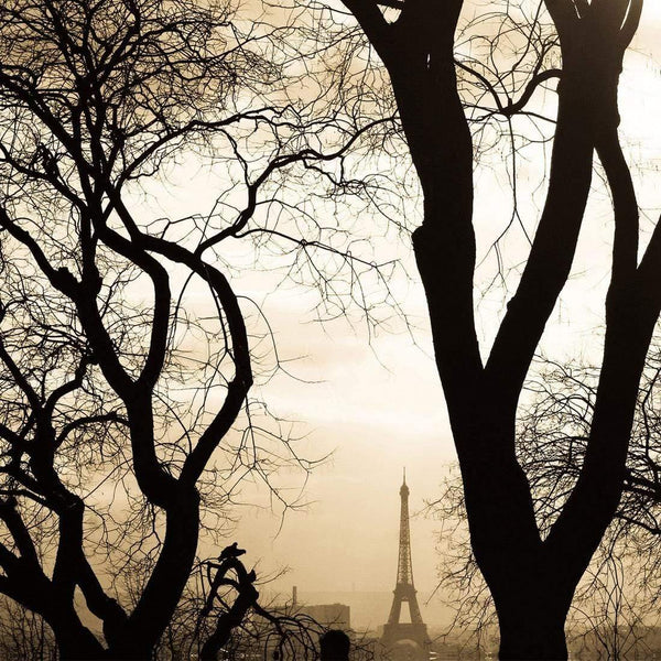 Eiffel Tower Through Trees (Square) Wall Art