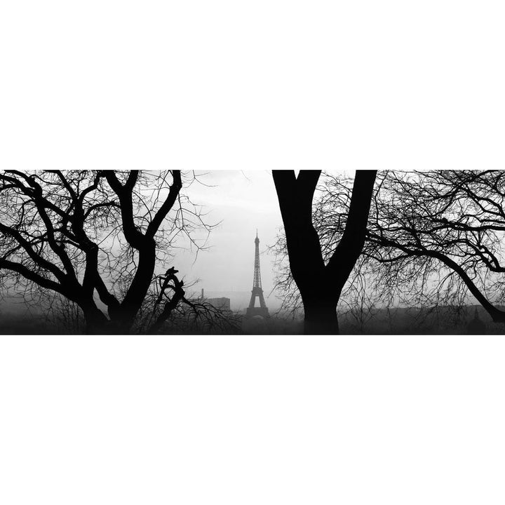 Eiffel Tower Through Trees, Black and White (Long) Wall Art
