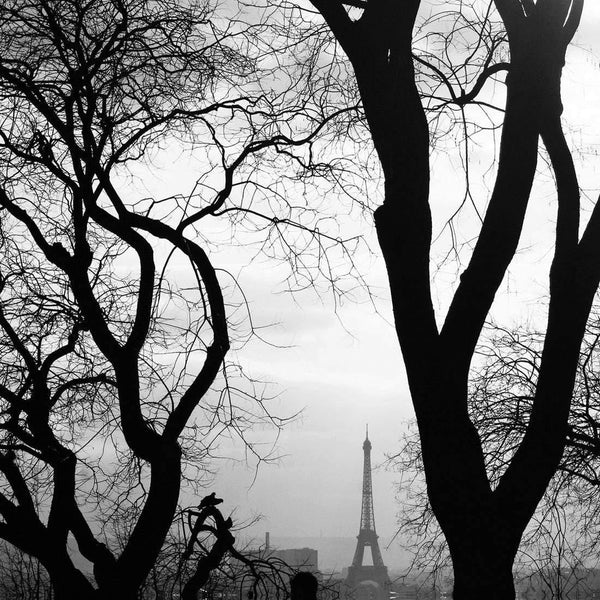 Eiffel Tower Through Trees, Black and White (Square) Wall Art