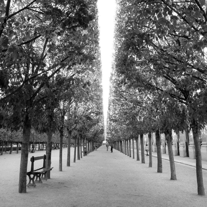 Park in Paris, Black and White (Square) Wall Art