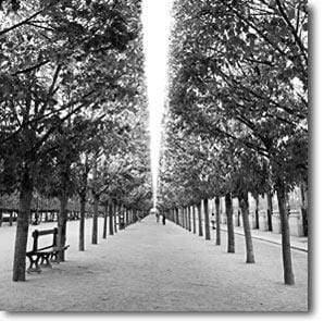 Park in Paris, Black and White (Square) Wall Art