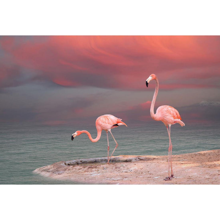Pink Flamingos Wall Art