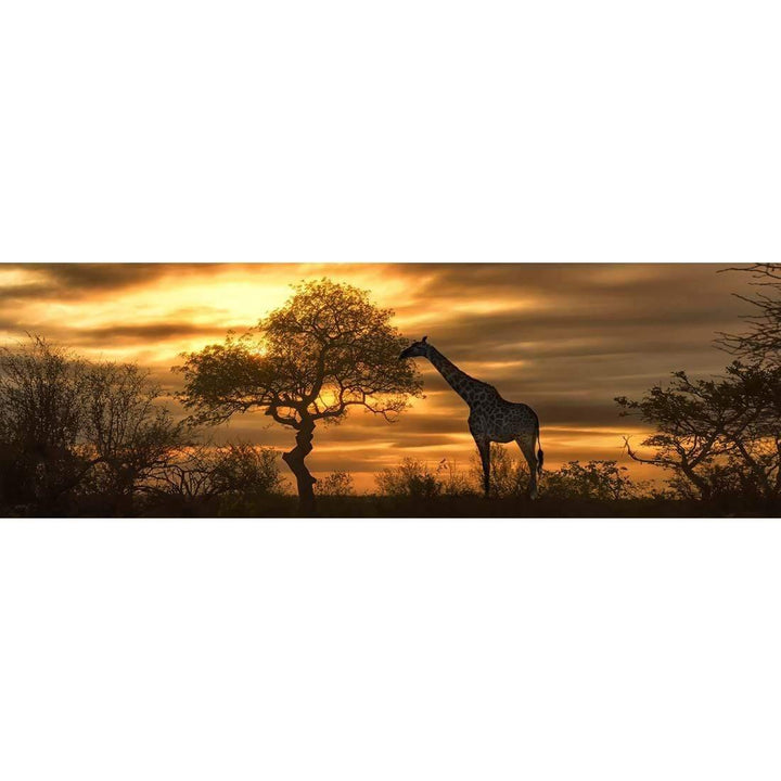 Giraffe at Sunset, Original (long) Wall Art