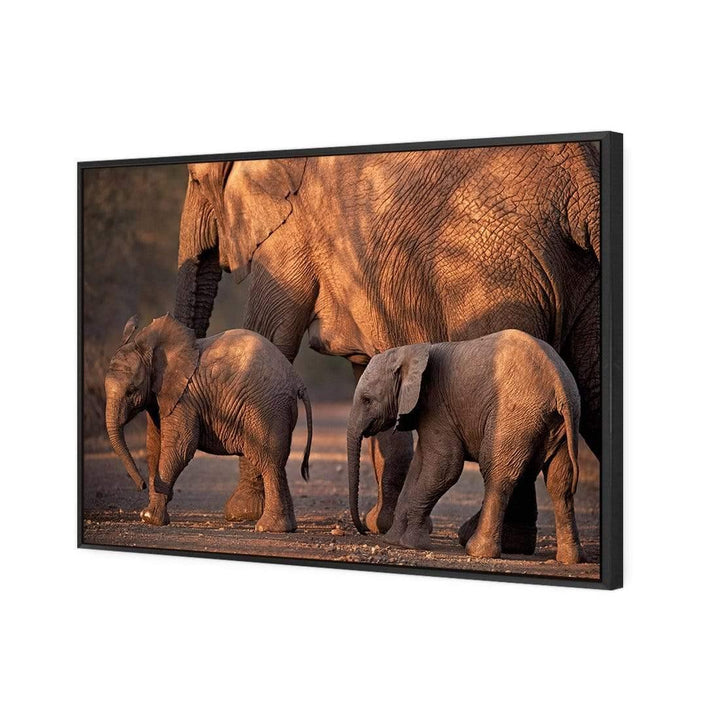 African Elephants Crossing Road Wall Art