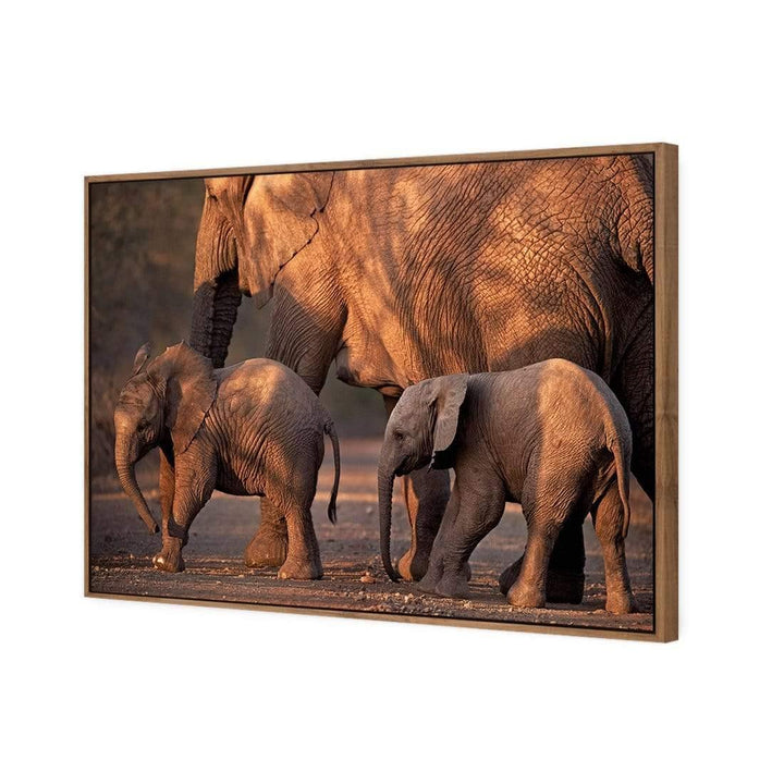 African Elephants Crossing Road Wall Art