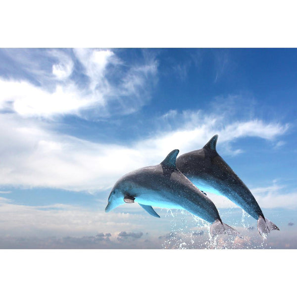 Flying Dolphins Wall Art