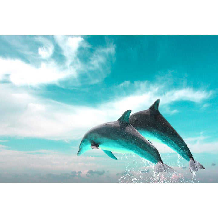Flying Dolphins, Aqua Wall Art