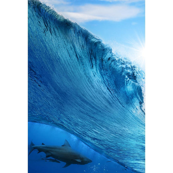 Shark Meets Dolphins, Original, Rectangle Wall Art