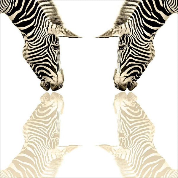 Zebra Reflection, Sepia (square) Wall Art