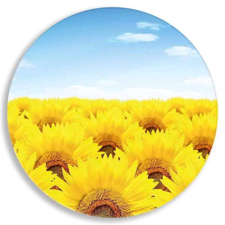 Sunflower Horizon Circle Acrylic Glass Wall Art