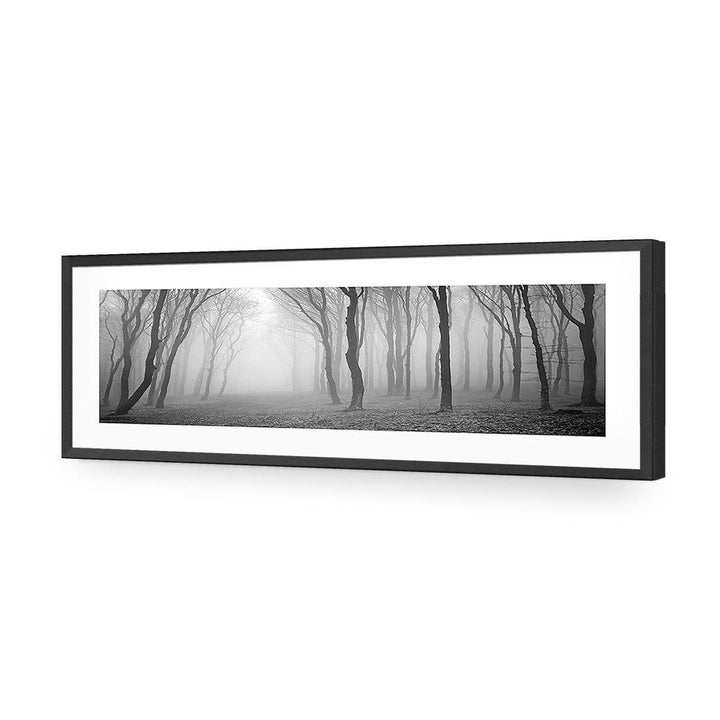 Mysterious Trees, Black and White (long) Wall Art