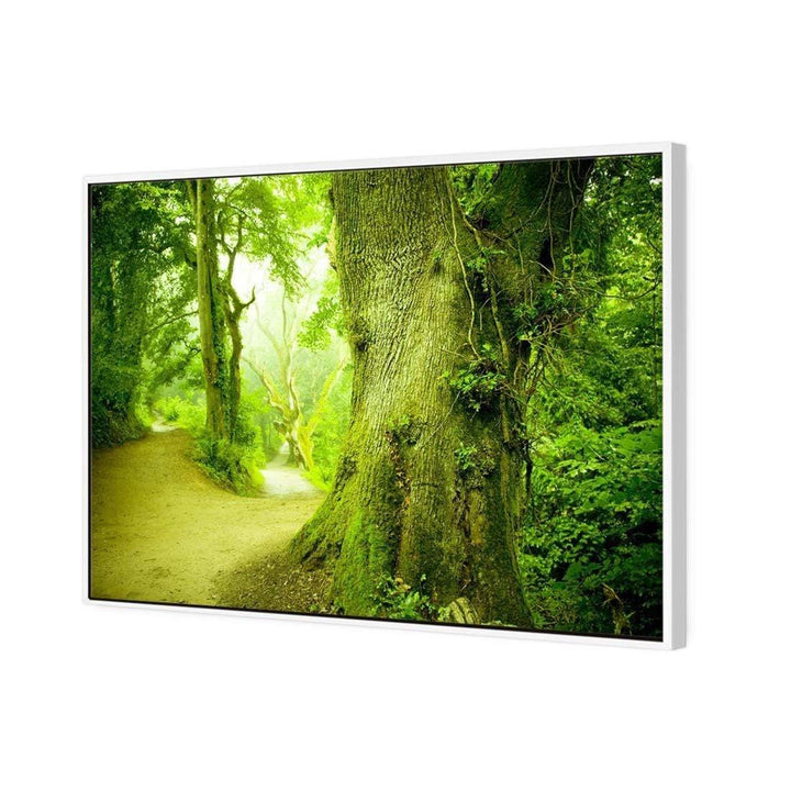 Green Forest (rectangle) Wall Art