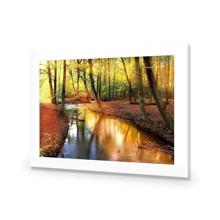 Sunkissed Forest Wall Art