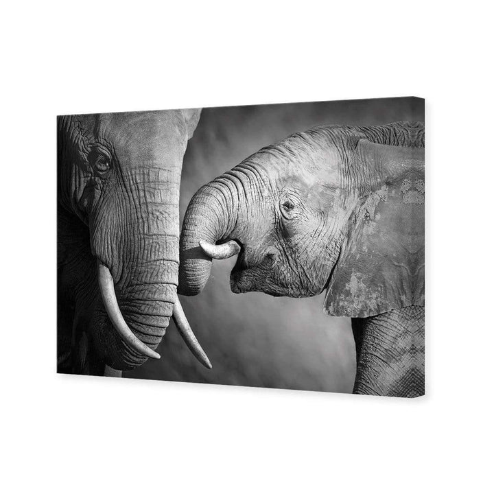 Elephant and Mum Wall Art