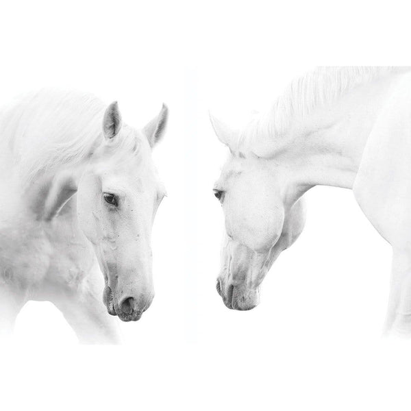 White Horses Wall Art