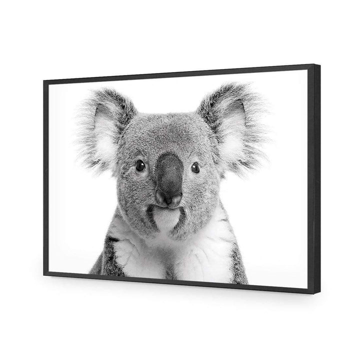 Korro Koala Wall Art