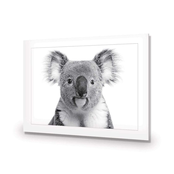 Korro Koala Wall Art