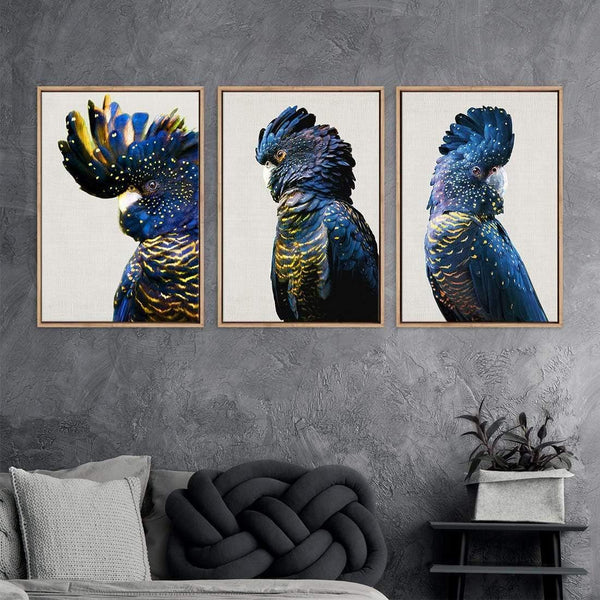 Cockatoos Trio Art Set Wall Art