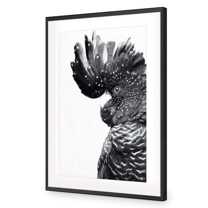 Proud Black Cocky, Black and White Wall Art