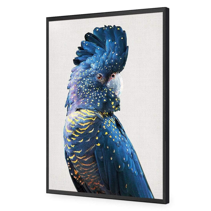 Distracted Black Cocky Wall Art