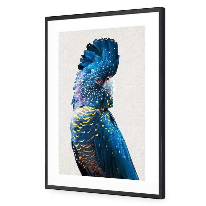 Distracted Black Cocky Wall Art