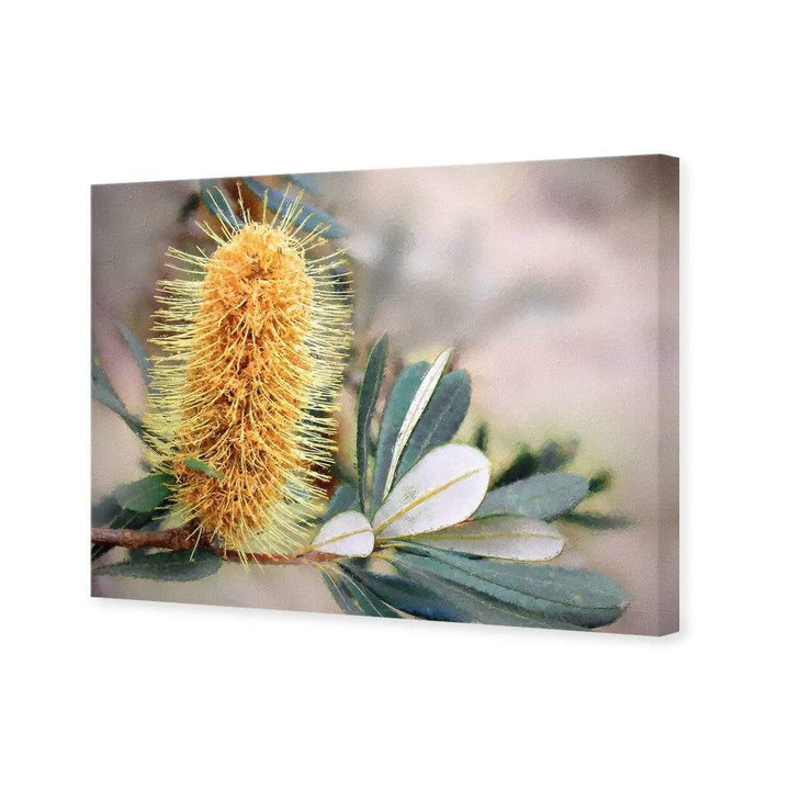 Banksia of Gold Wall Art