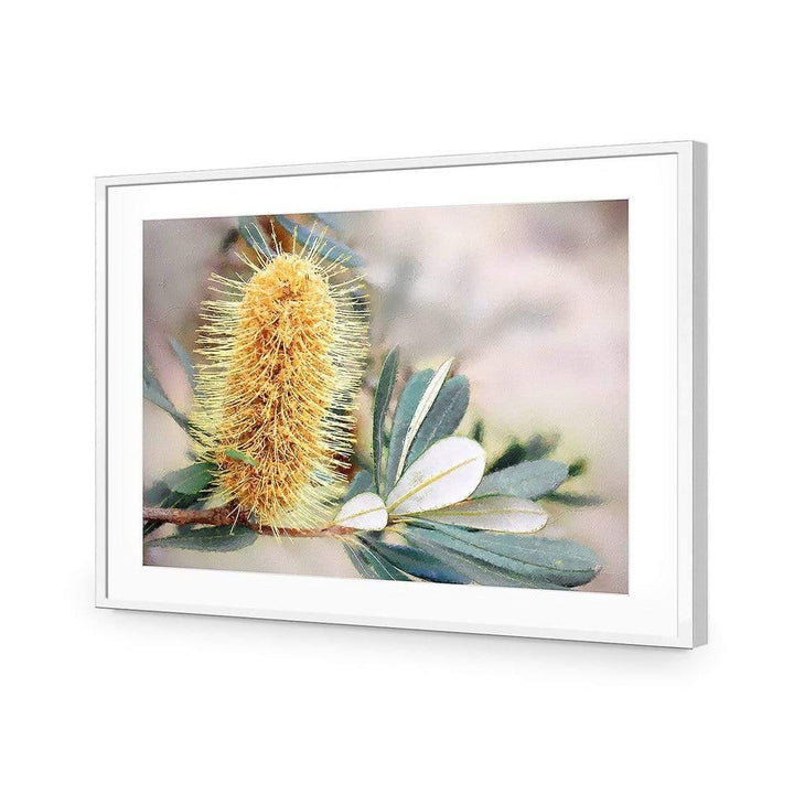 Banksia of Gold Wall Art