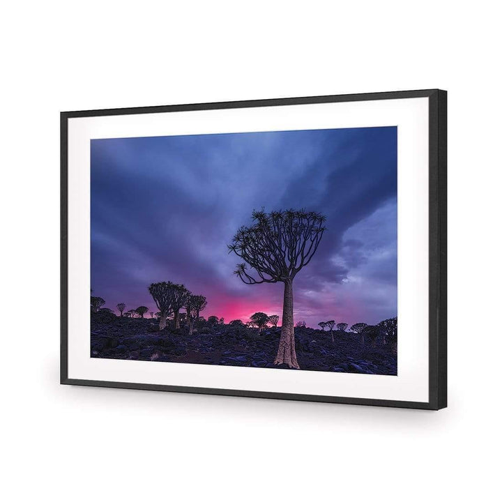 Quivertree Forest, Namibia Wall Art
