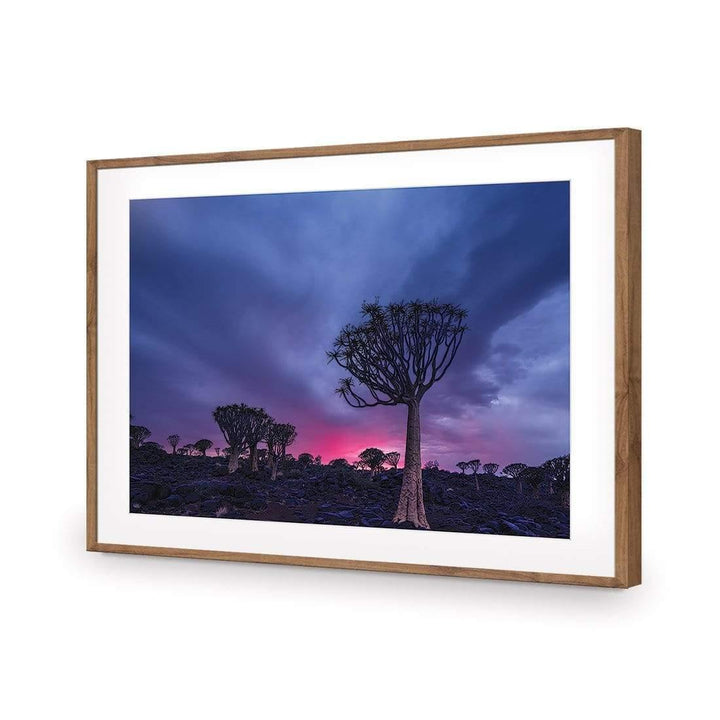 Quivertree Forest, Namibia Wall Art