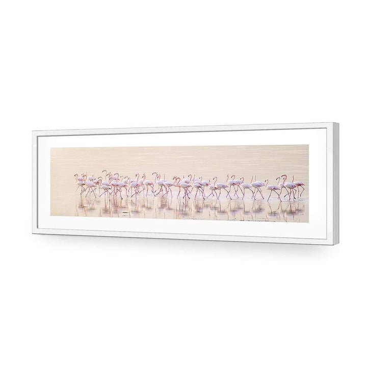 Marching Pinks By Ahmed Thabet Wall Art