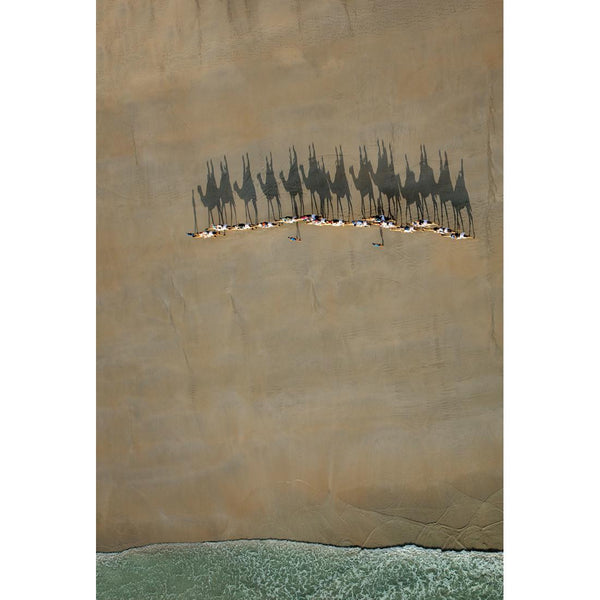 Broome Camel Train By Renee Doyle Wall Art