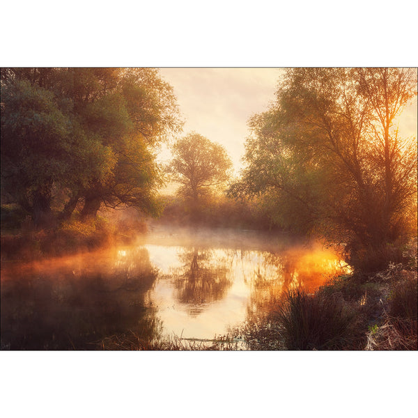 When Nature Paints with Light II by Leicher Oliver