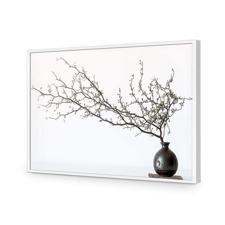 Vase and Branch By Prbimages Wall Art