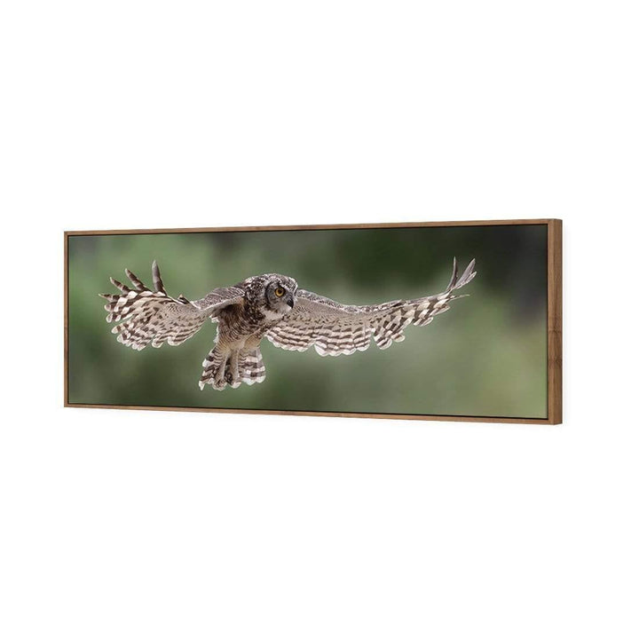 Owl in Flight By Andre Marais Wall Art
