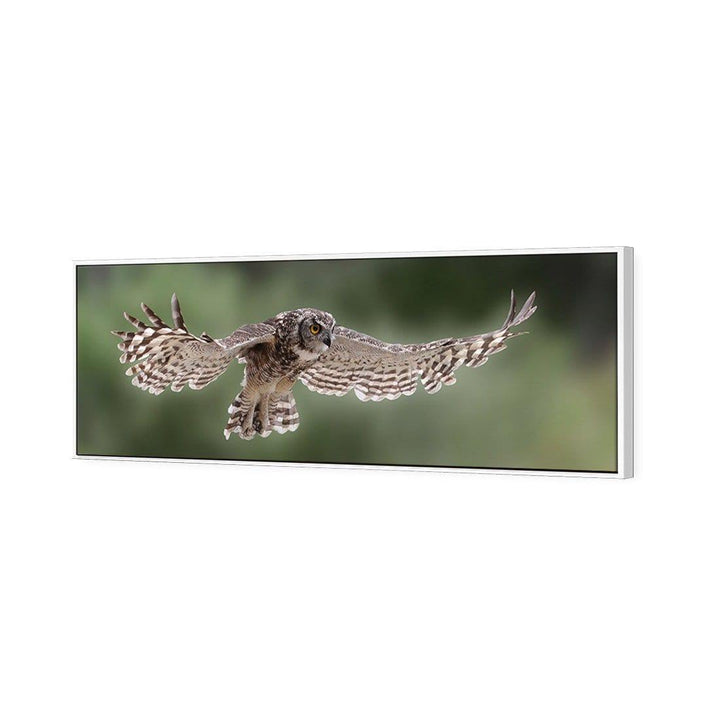 Owl in Flight By Andre Marais Wall Art